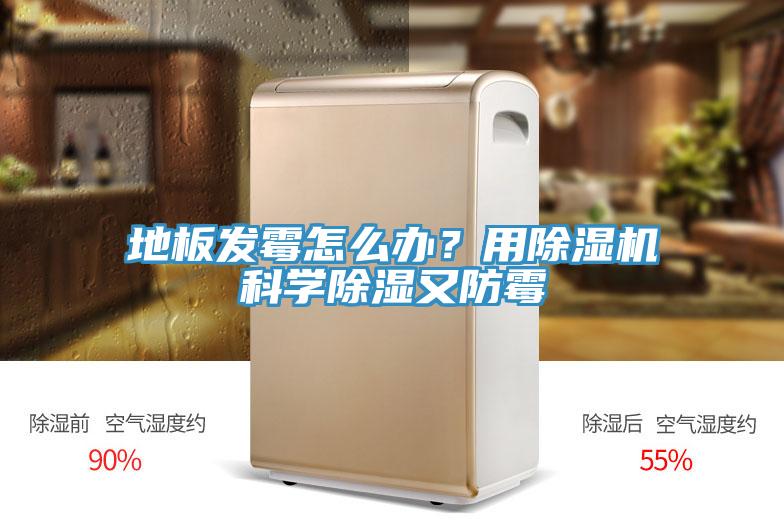 地板發(fā)霉怎么辦？用除濕機科學(xué)除濕又防霉