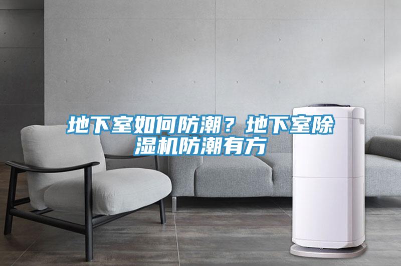 地下室如何防潮？地下室除濕機防潮有方