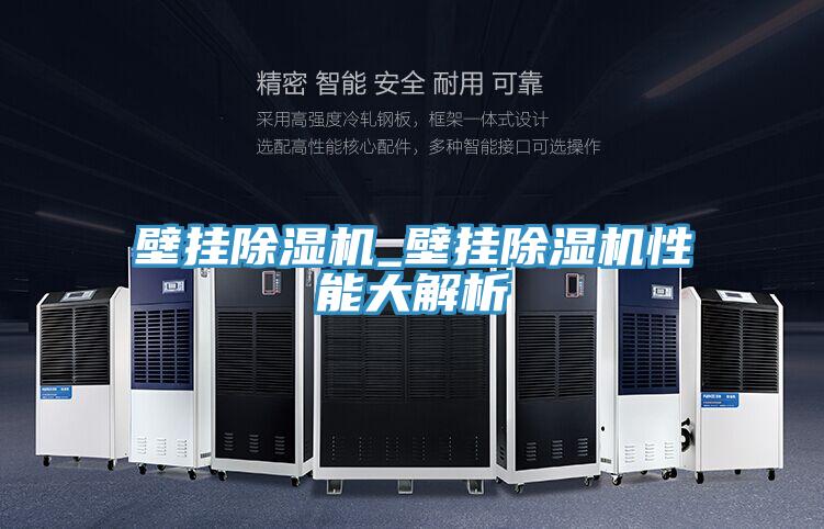壁掛除濕機_壁掛除濕機性能大解析