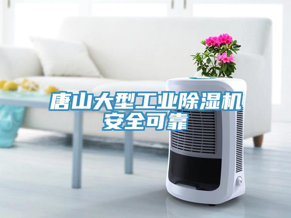 唐山大型工業(yè)除濕機安全可靠