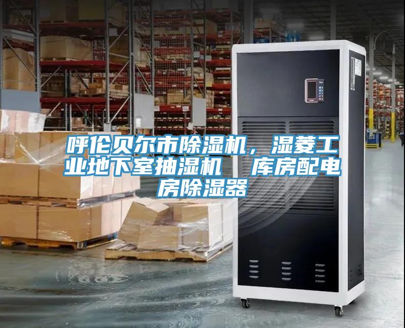 呼倫貝爾市除濕機，濕菱工業(yè)地下室抽濕機  庫房配電房除濕器