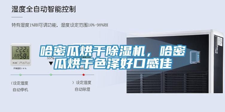 哈密瓜烘干除濕機，哈密瓜烘干色澤好口感佳