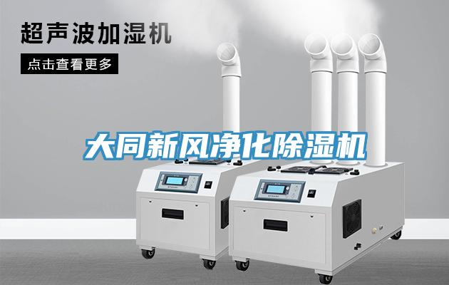 大同新風(fēng)凈化除濕機