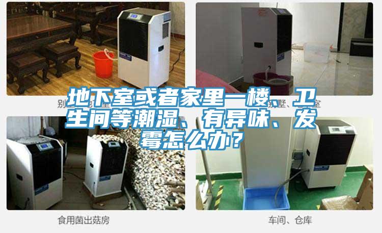 地下室或者家里一樓、衛生間等潮濕、有異味、發(fā)霉怎么辦？