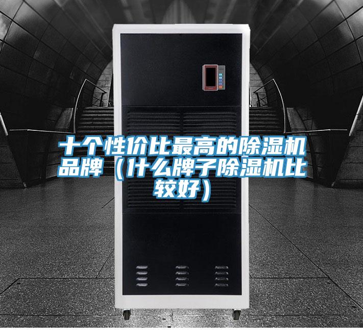 十個(gè)性?xún)r(jià)比最高的除濕機品牌（什么牌子除濕機比較好）