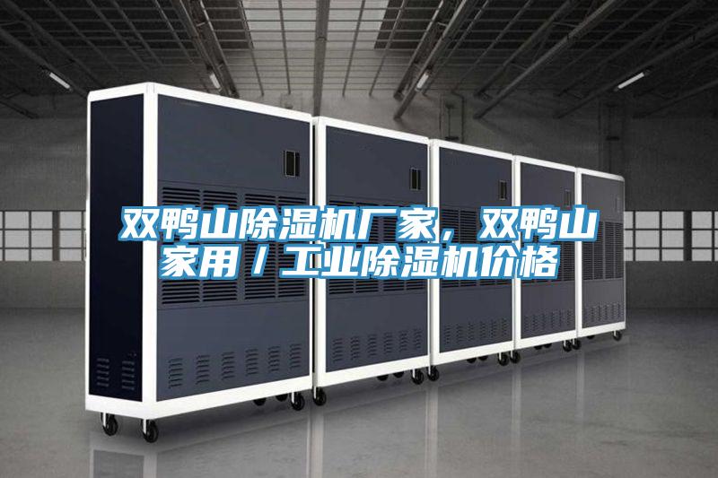 雙鴨山除濕機廠(chǎng)家，雙鴨山家用／工業(yè)除濕機價(jià)格