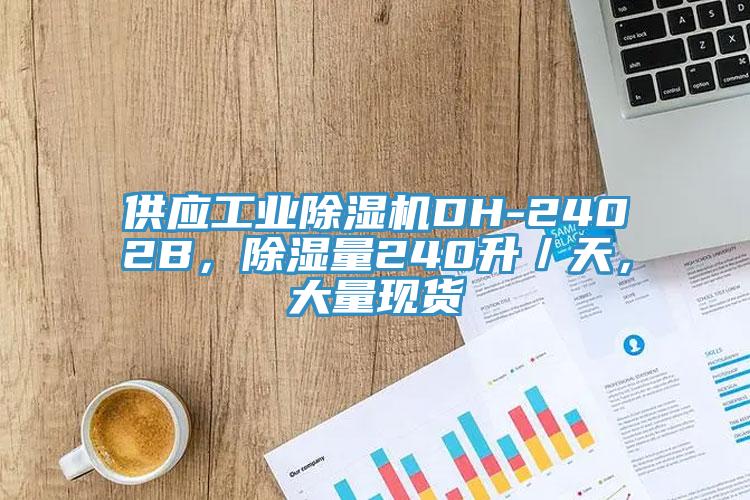 供應工業(yè)除濕機DH-2402B，除濕量240升／天，大量現貨