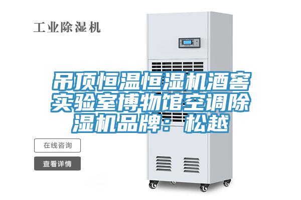 吊頂恒溫恒濕機酒窖實(shí)驗室博物館空調除濕機品牌：松越
