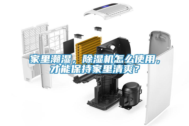 家里潮濕，除濕機怎么使用，才能保持家里清爽？