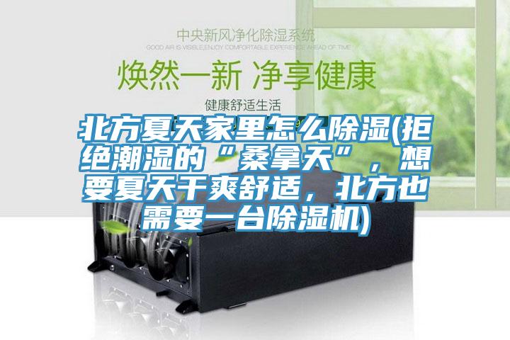 北方夏天家里怎么除濕(拒絕潮濕的“桑拿天”，想要夏天干爽舒適，北方也需要一臺除濕機)