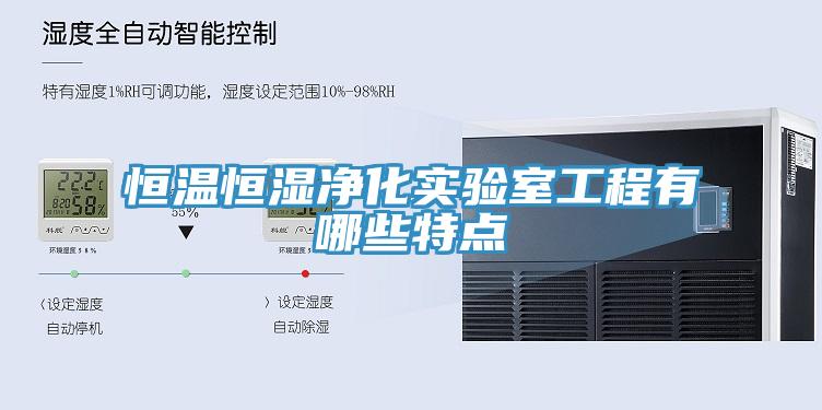 恒溫恒濕凈化實(shí)驗室工程有哪些特點(diǎn)