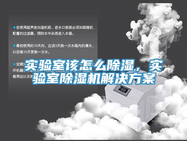 實(shí)驗室該怎么除濕，實(shí)驗室除濕機解決方案