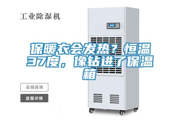 保暖衣會(huì )發(fā)熱？恒溫37度，像鉆進(jìn)了保溫箱