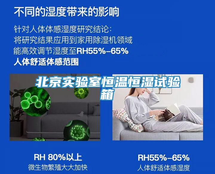 北京實(shí)驗室恒溫恒濕試驗箱