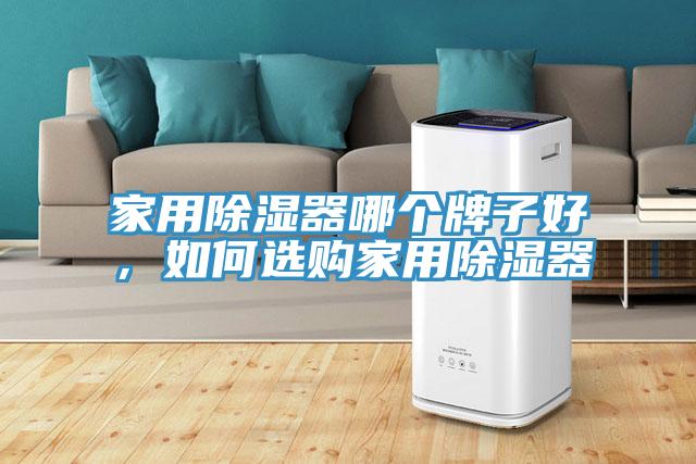 家用除濕器哪個(gè)牌子好，如何選購家用除濕器