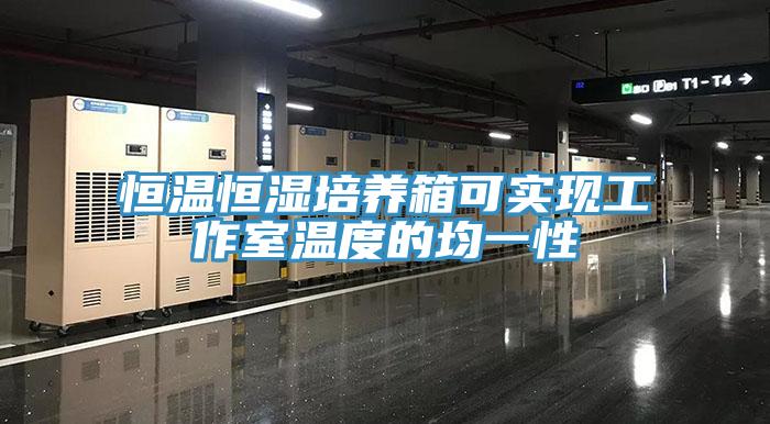 恒溫恒濕培養箱可實(shí)現工作室溫度的均一性
