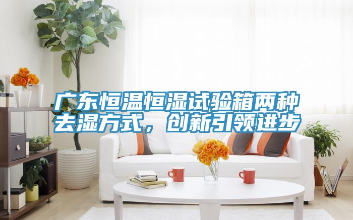 廣東恒溫恒濕試驗箱兩種去濕方式，創(chuàng  )新引領(lǐng)進(jìn)步
