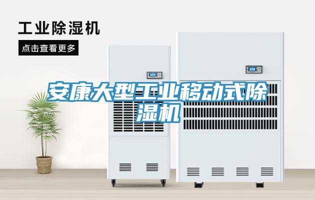 安康大型工業(yè)移動(dòng)式除濕機