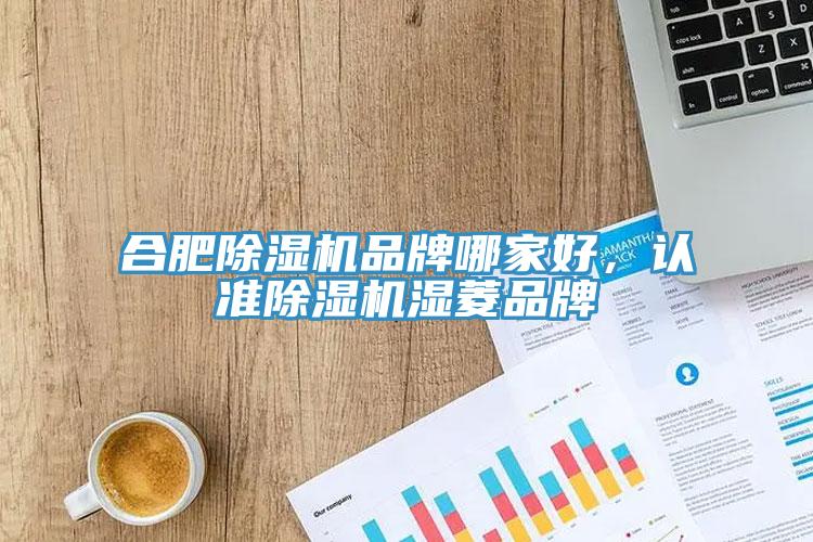 合肥除濕機品牌哪家好，認準除濕機濕菱品牌