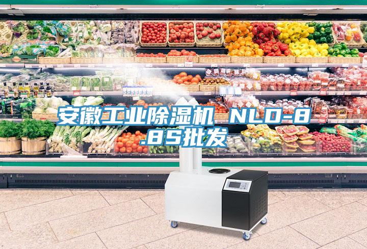 安徽工業(yè)除濕機 NLD-8.8S批發(fā)