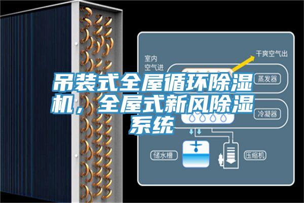 吊裝式全屋循環(huán)除濕機，全屋式新風(fēng)除濕系統