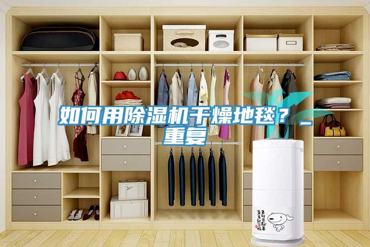 如何用除濕機干燥地毯？_重復