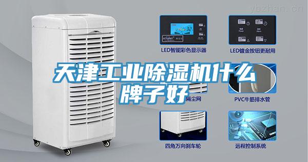 天津工業(yè)除濕機什么牌子好