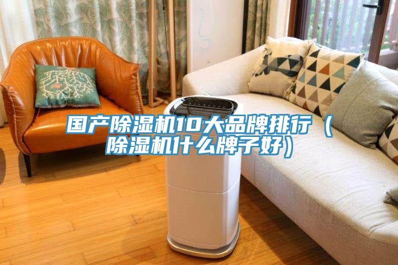 國產(chǎn)除濕機10大品牌排行（除濕機什么牌子好）