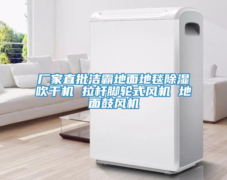 廠(chǎng)家直批潔霸地面地毯除濕吹干機 拉桿腳輪式風(fēng)機 地面鼓風(fēng)機