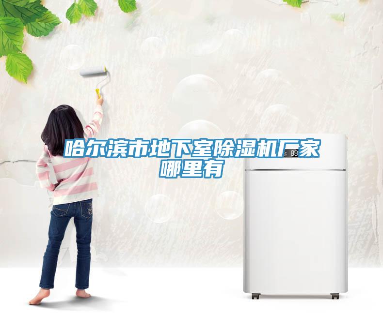 哈爾濱市地下室除濕機廠(chǎng)家哪里有