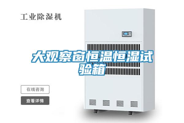 大觀(guān)察窗恒溫恒濕試驗箱