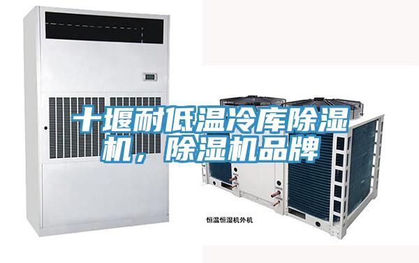 十堰耐低溫冷庫除濕機，除濕機品牌