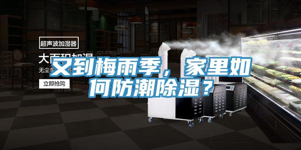 又到梅雨季，家里如何防潮除濕？