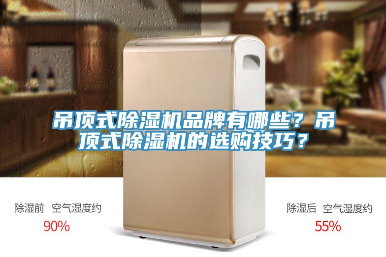 吊頂式除濕機品牌有哪些？吊頂式除濕機的選購技巧？