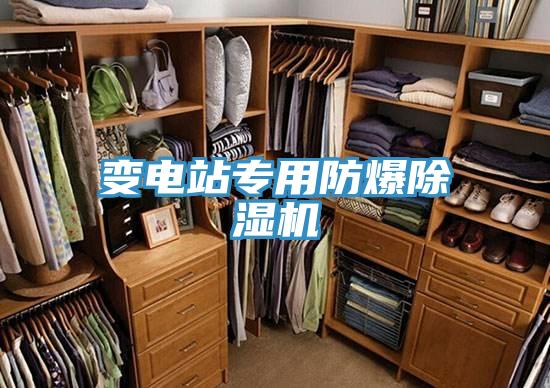 變電站專(zhuān)用防爆除濕機