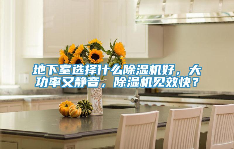 地下室選擇什么除濕機好，大功率又靜音，除濕機見(jiàn)效快？