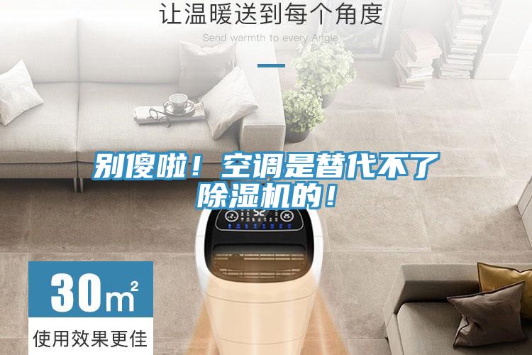 別傻啦！空調是替代不了除濕機的！