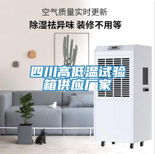四川高低溫試驗箱供應廠(chǎng)家