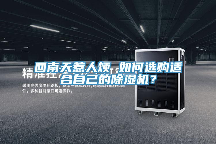 回南天惹人煩 如何選購適合自己的除濕機？