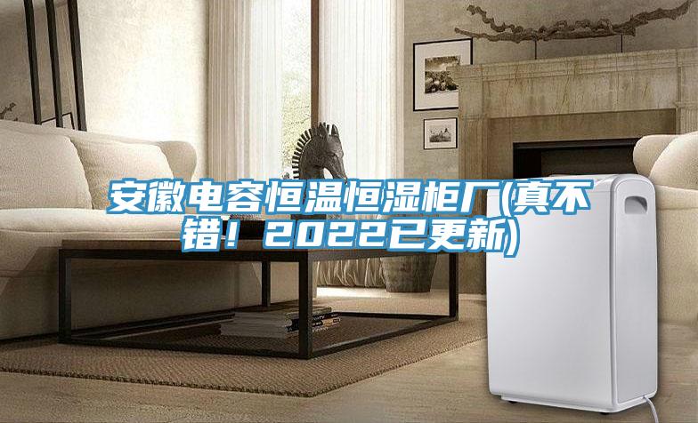 安徽電容恒溫恒濕柜廠(chǎng)(真不錯！2022已更新)