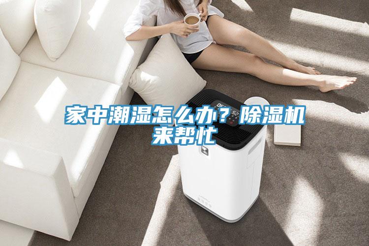 家中潮濕怎么辦？除濕機來(lái)幫忙