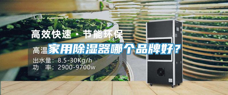 家用除濕器哪個(gè)品牌好？