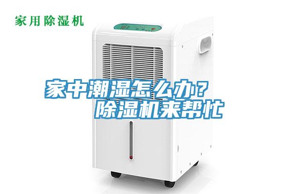 家中潮濕怎么辦？    除濕機來(lái)幫忙