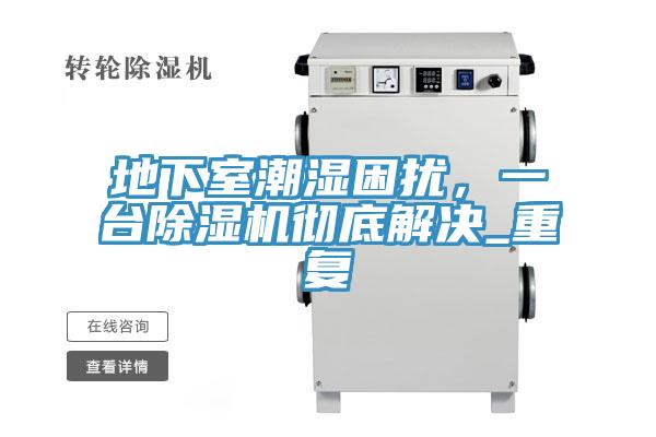 地下室潮濕困擾，一臺除濕機徹底解決_重復