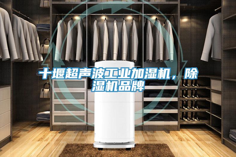 十堰超聲波工業(yè)加濕機，除濕機品牌