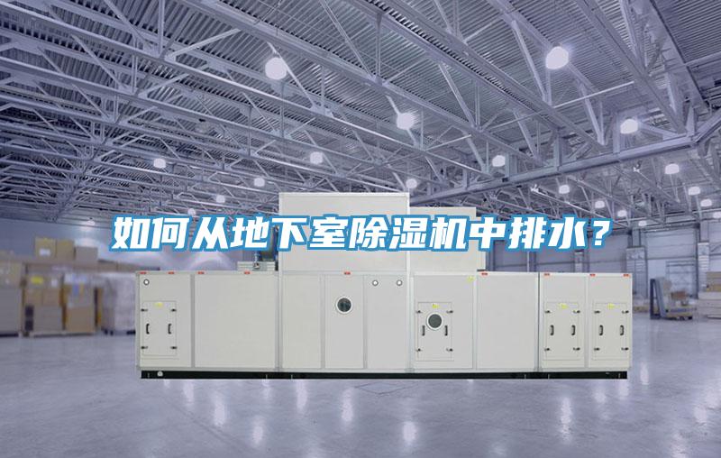 如何從地下室除濕機中排水？