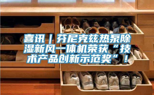 喜訊｜芬尼克茲熱泵除濕新風(fēng)一體機榮獲“技術(shù)產(chǎn)品創(chuàng  )新示范獎”！