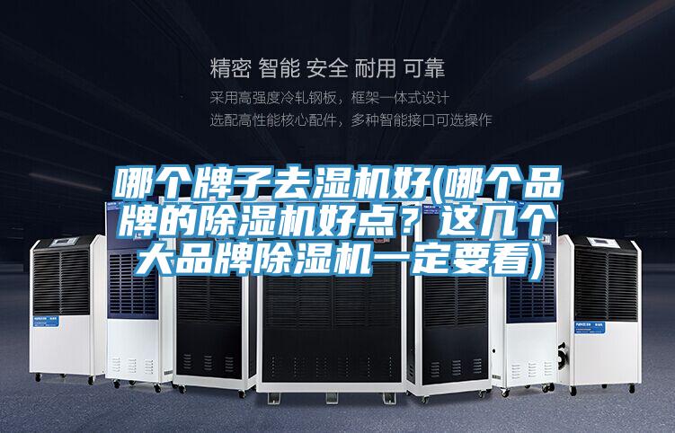 哪個(gè)牌子去濕機好(哪個(gè)品牌的除濕機好點(diǎn)？這幾個(gè)大品牌除濕機一定要看)