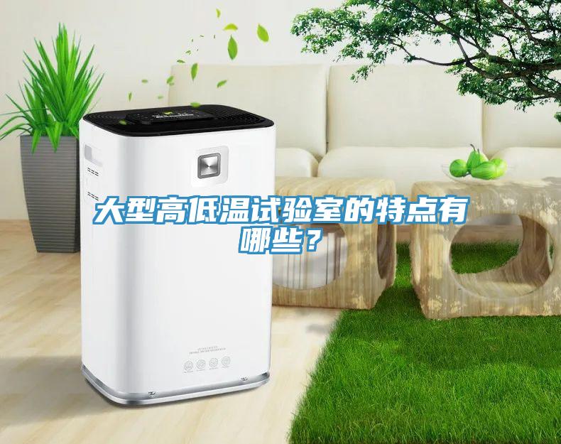 大型高低溫試驗室的特點(diǎn)有哪些？
