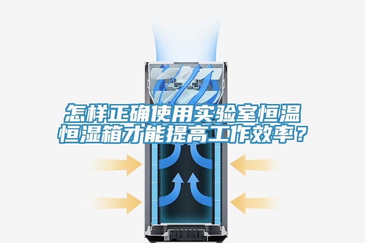 怎樣正確使用實(shí)驗室恒溫恒濕箱才能提高工作效率？